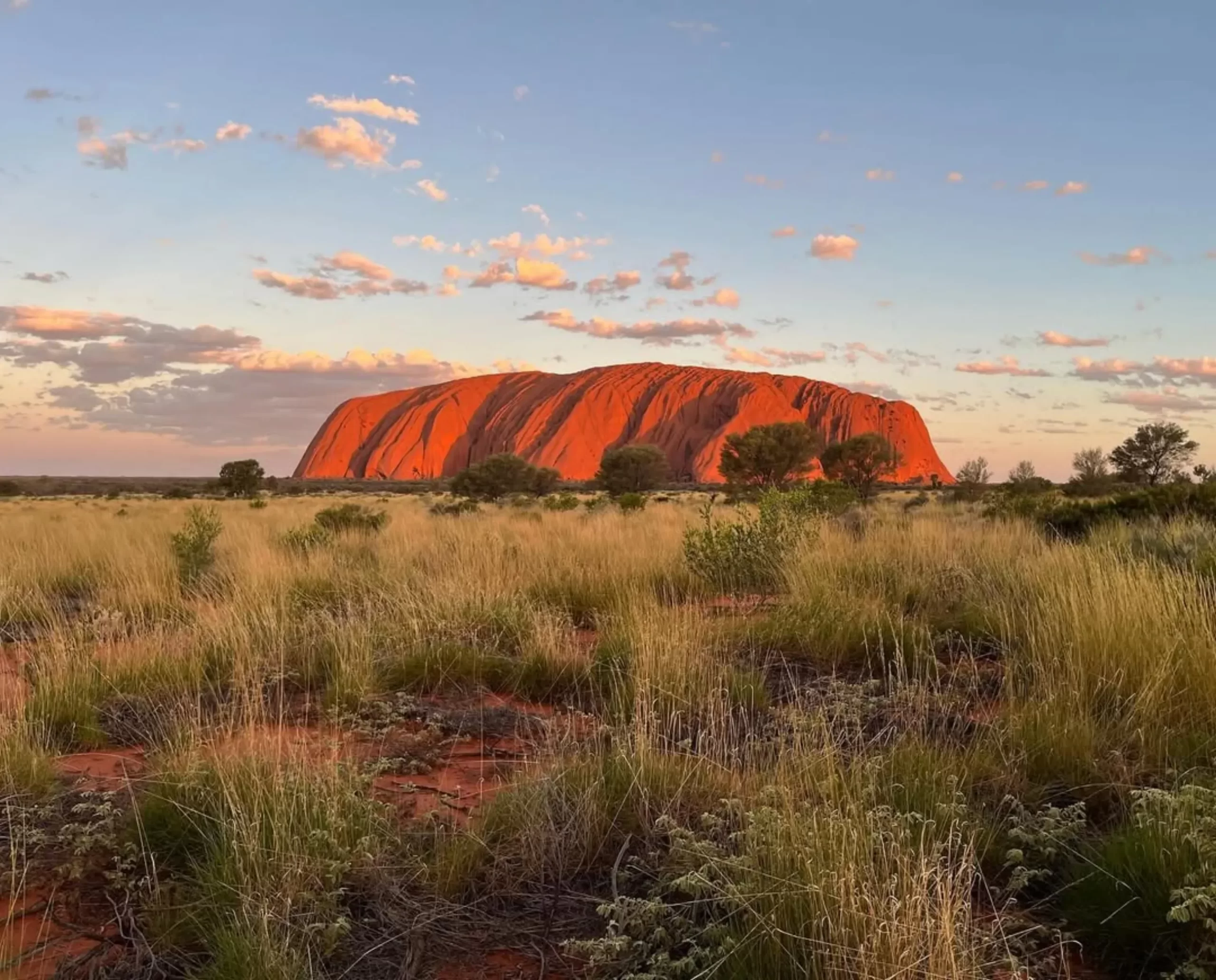 Alice Springs to Uluru trip