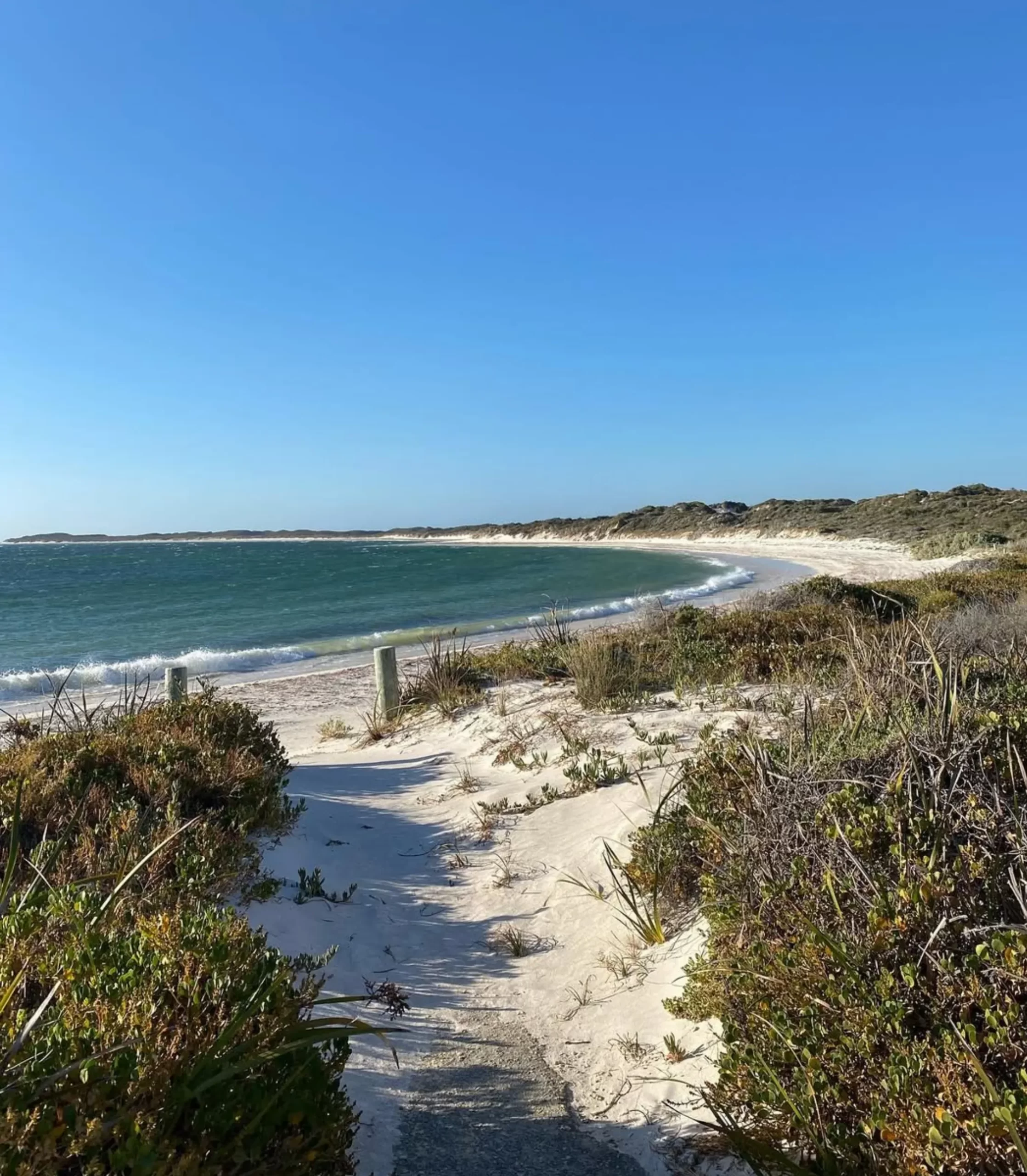 native flora and fauna, Pinnacles