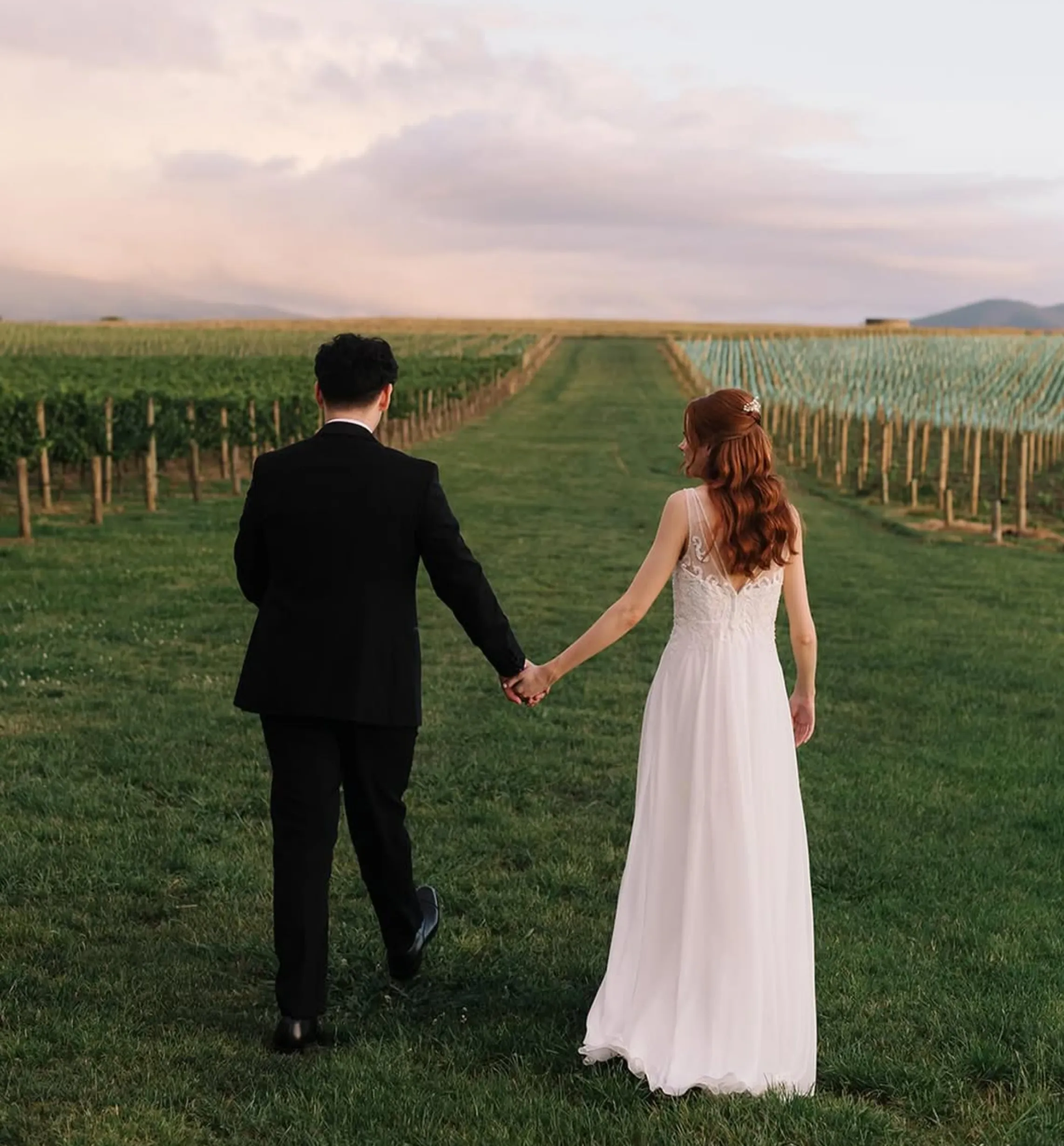 vineyard views, Zonzo Estate