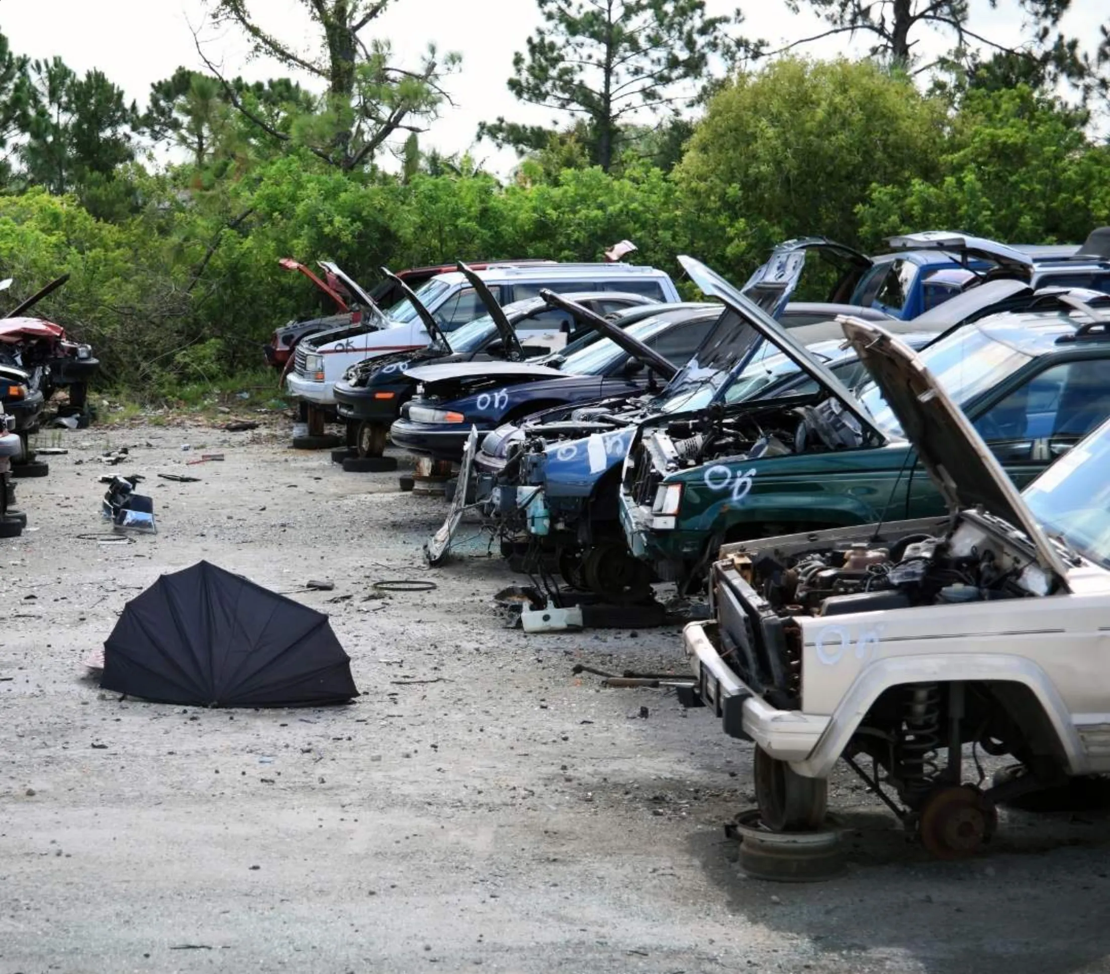 cash for scrap cars